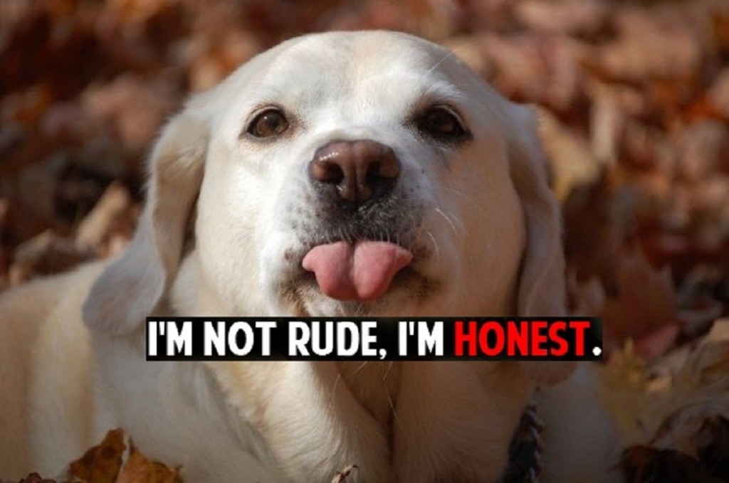 15 Reasons You Should Stop Lying And Start Being Honest