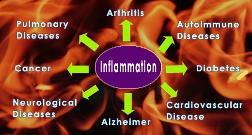 new book release unload toxic overload the easy way discusses inflammation s lin