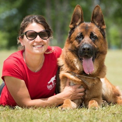 Find Show Winning German Shepherds Near Chigago With This Best In Class ...