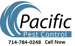 get the best california termite pest control house service by checking out this 