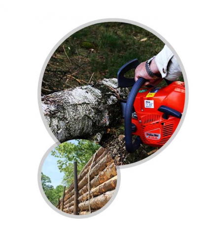 get the best marietta tree services cutting removal commercial amp residential s