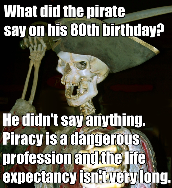 Shared Across the 7 Seas These 33 Hilarious Pirate Memes Will Make You ...