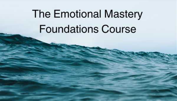 the best emotional mastery coach for your productivity social skills amp career 