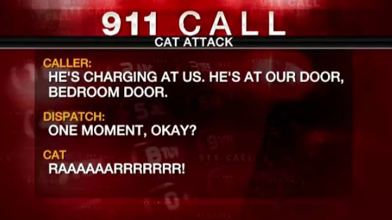 911 funny prank calls
