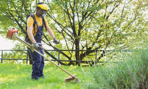 find the best trimmer weed wacker for garden amp yard maintenance with this tech