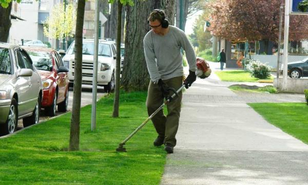 find the best trimmer weed wacker for garden amp yard maintenance with this tech