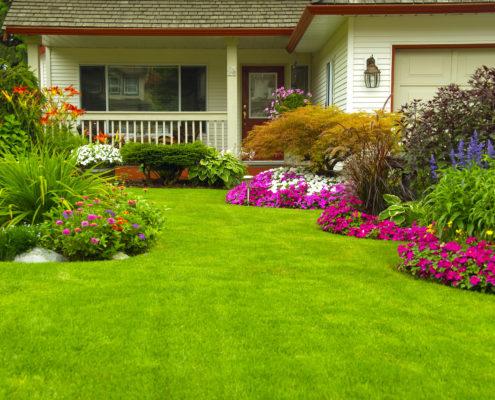 get the best bloomington peoria lawn care overseeding fungus control core aerati