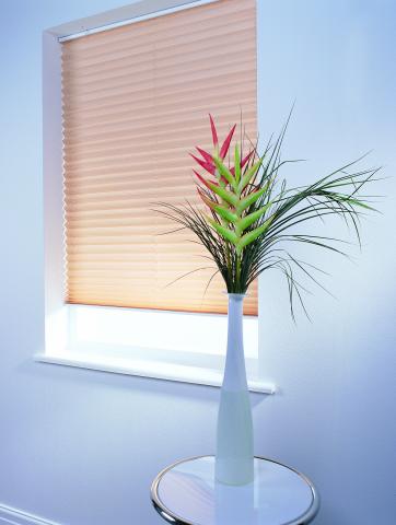 get the best tallaght ballymount electric roller blinds app controlled window tr