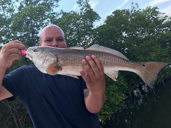 captain mike murphy of fish this inshore charters provides expert tampa fishing 