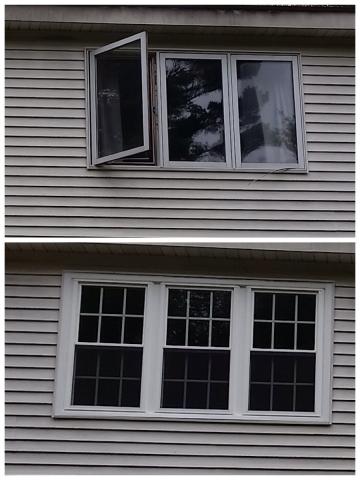 when it s hard to find quality single hung replacement windows zen windows bosto