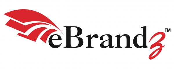 paul stinemetz was chosen to join the executive team at ebrandz to help evolve s