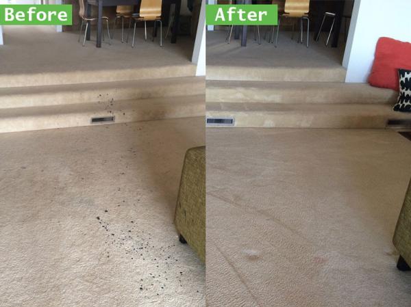 find out about the benefits of hiring temecula s top professional carpet cleanin