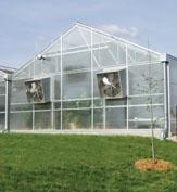 greenhouses bring benefits to commercial growers