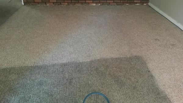 get the best hammond munster in carpet cleaning water extraction dirt removal ex