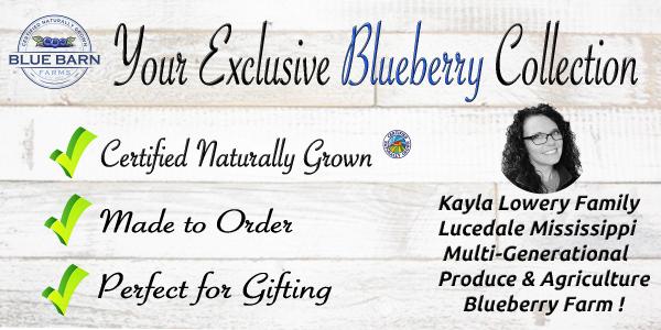 mississippi organic blueberry produce farmer launches gift ordering online