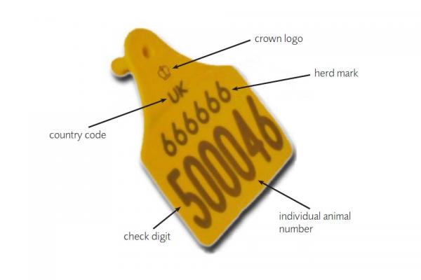 get premium defra approved livestock ear tags with fast turnaround