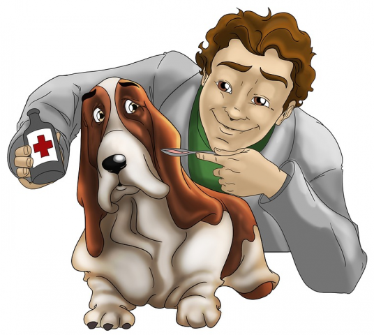 get the best flea amp tick treatment for pets at this top pet care website