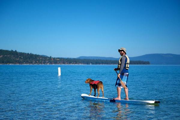 get the best life jacket for your dog with this vivaglory top vest review