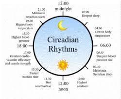 natural energy boosting 24 hour circadian rhythm electromagnetic device released