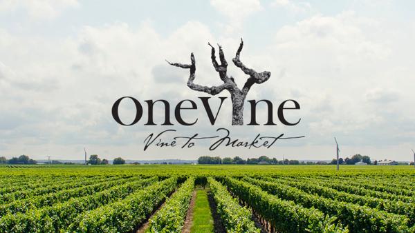 one vine wines expands to u s embassies featuring american wine globally