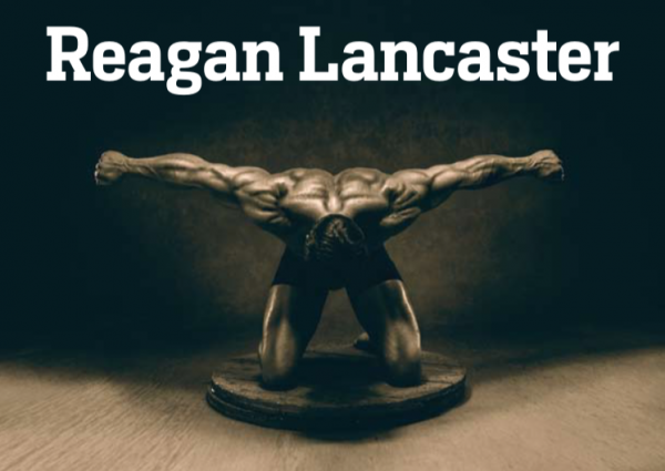 take your business to the next level with consulting from reagan lancaster