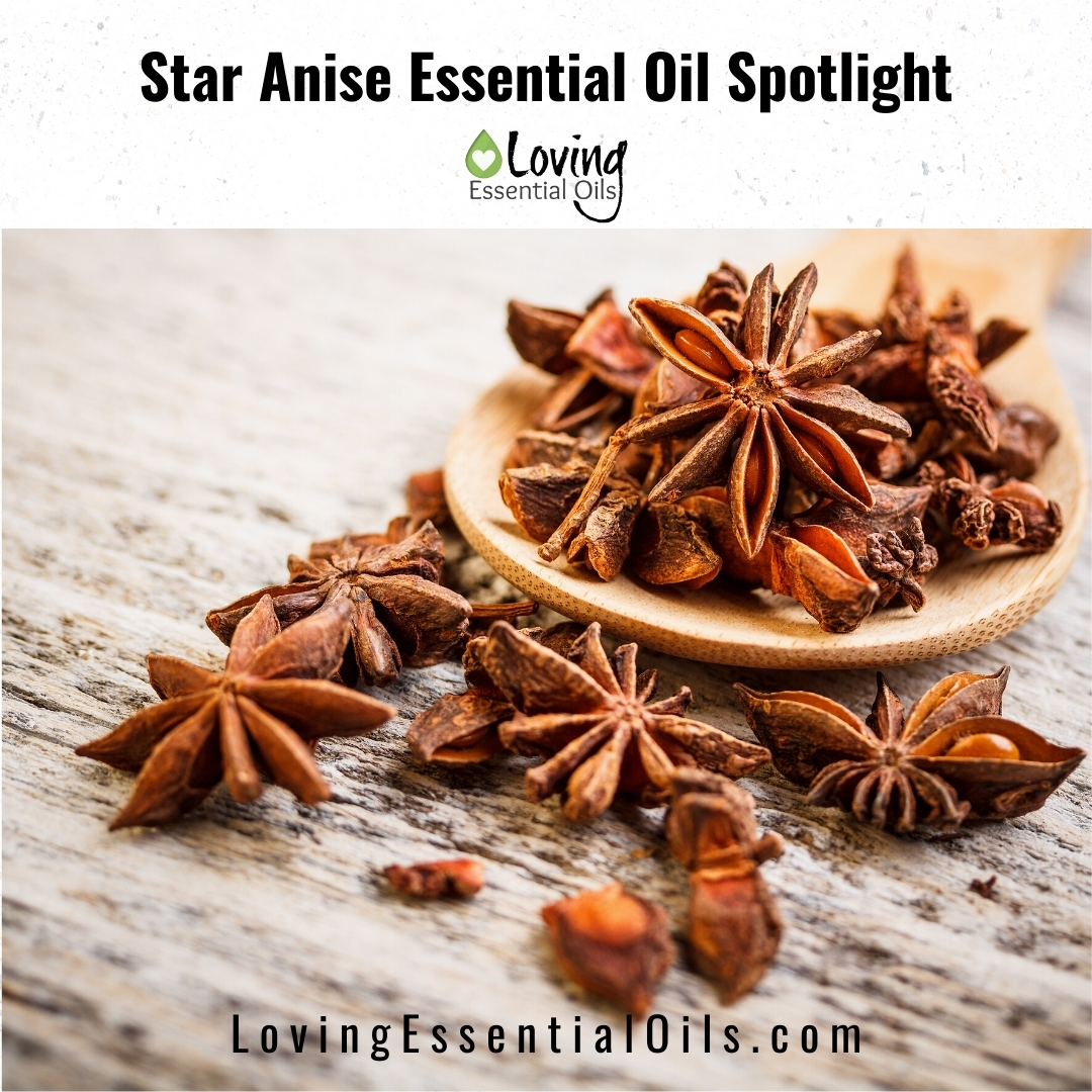 Discover The Physical Healing Benefits Of Star Anise In This