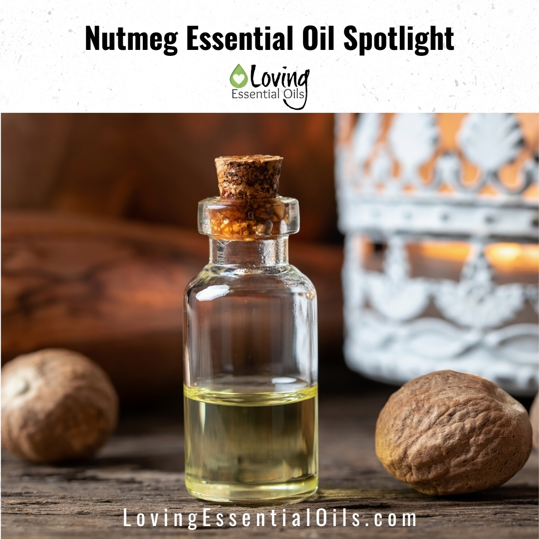 Learn About The Therapeutic Benefits Of Nutmeg Essential Oil From This