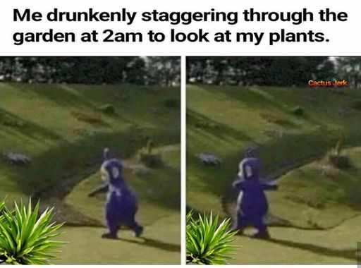 memes about plants