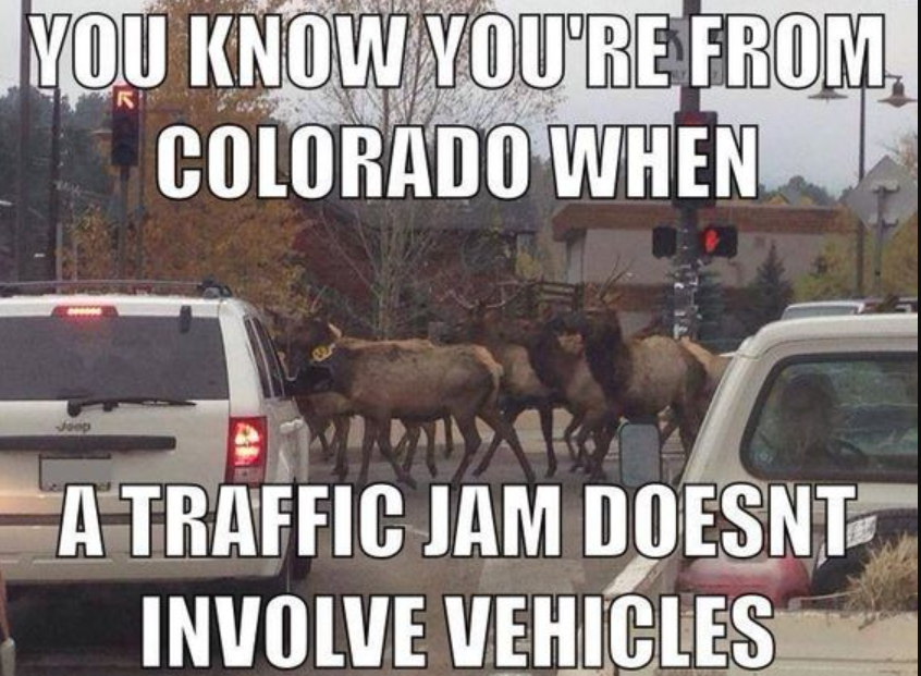 Funny Colorado memes