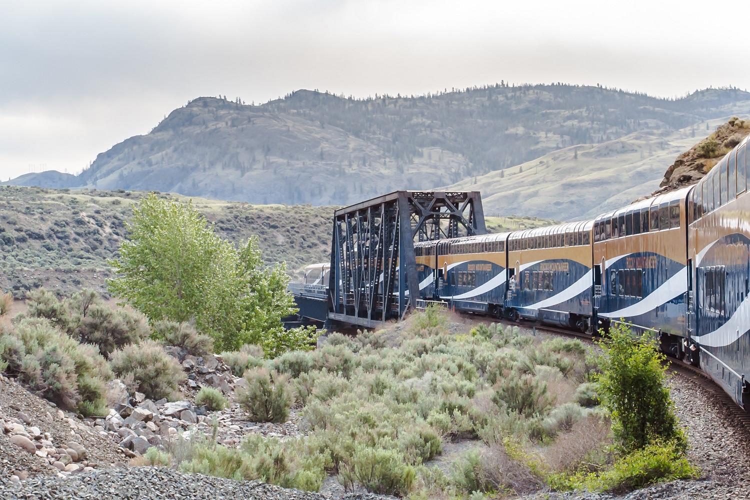 Rocky Mountaineer Train Rides Canada Book Your Luxury Tour For 2024