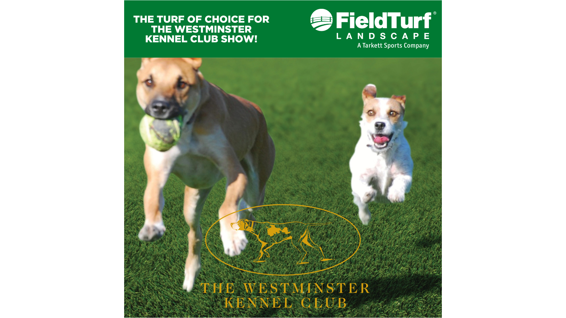 FieldTurf Landscape Named Official Turf Partner of The Westminster